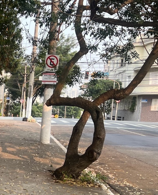 IMG_6148 (1).jpeg